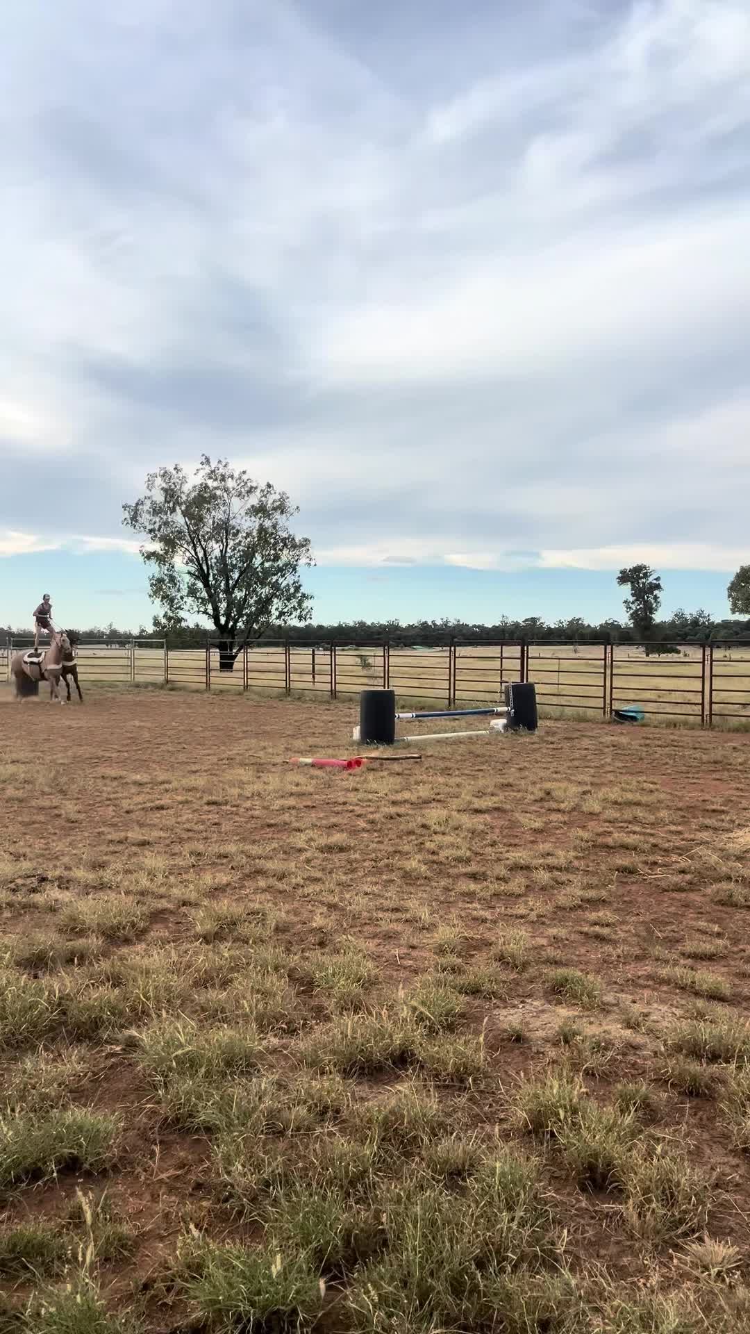 @Horses TikTok