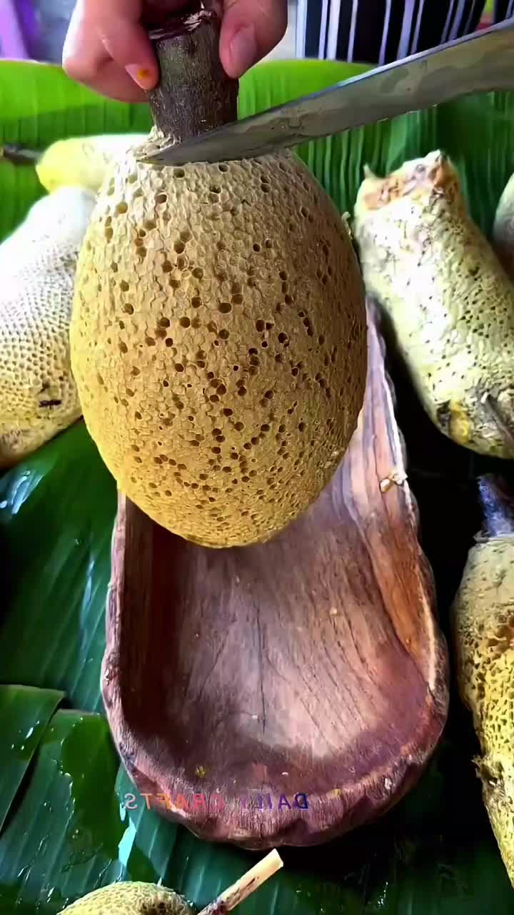 @◉‿◉