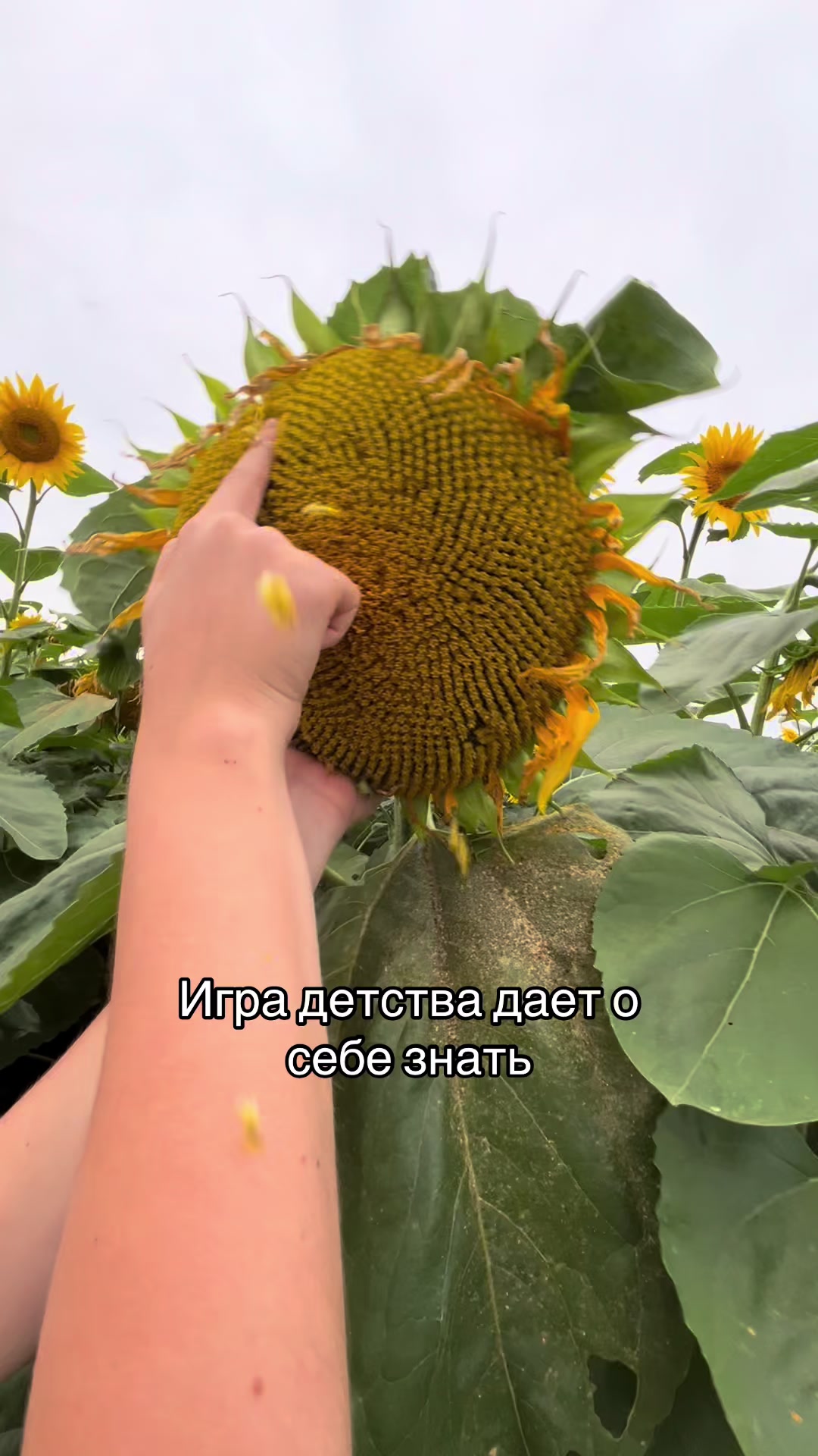 @тгк:дурочка