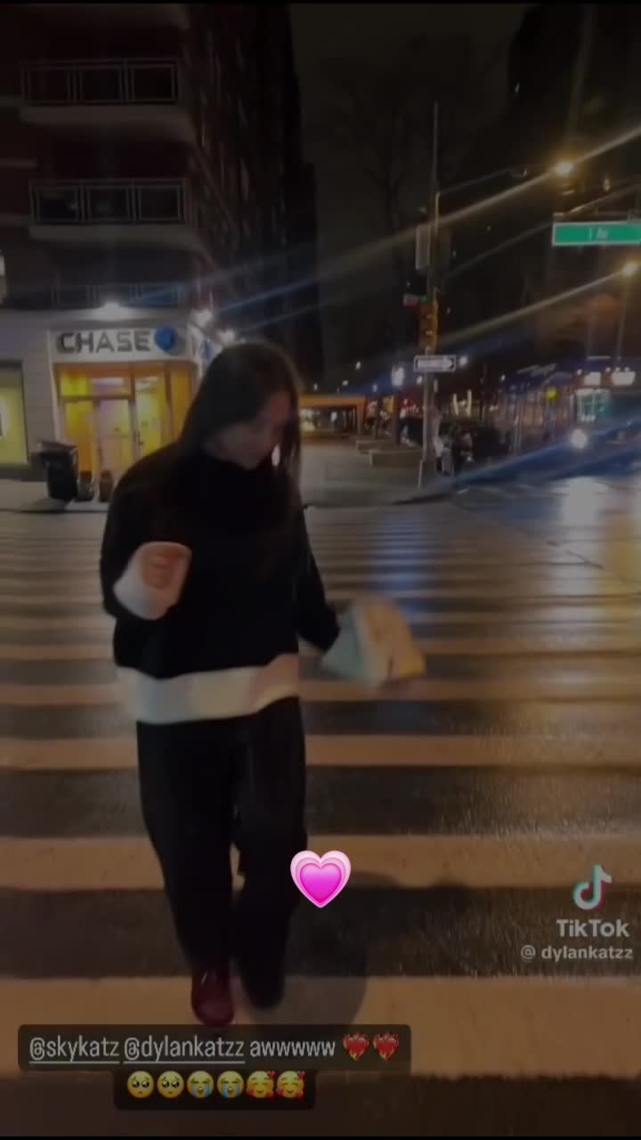 @Skykatz( fanpage)