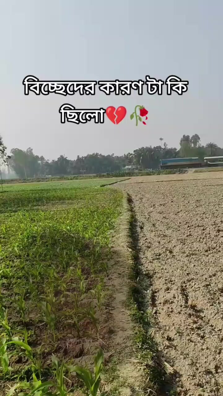 @রশিদ