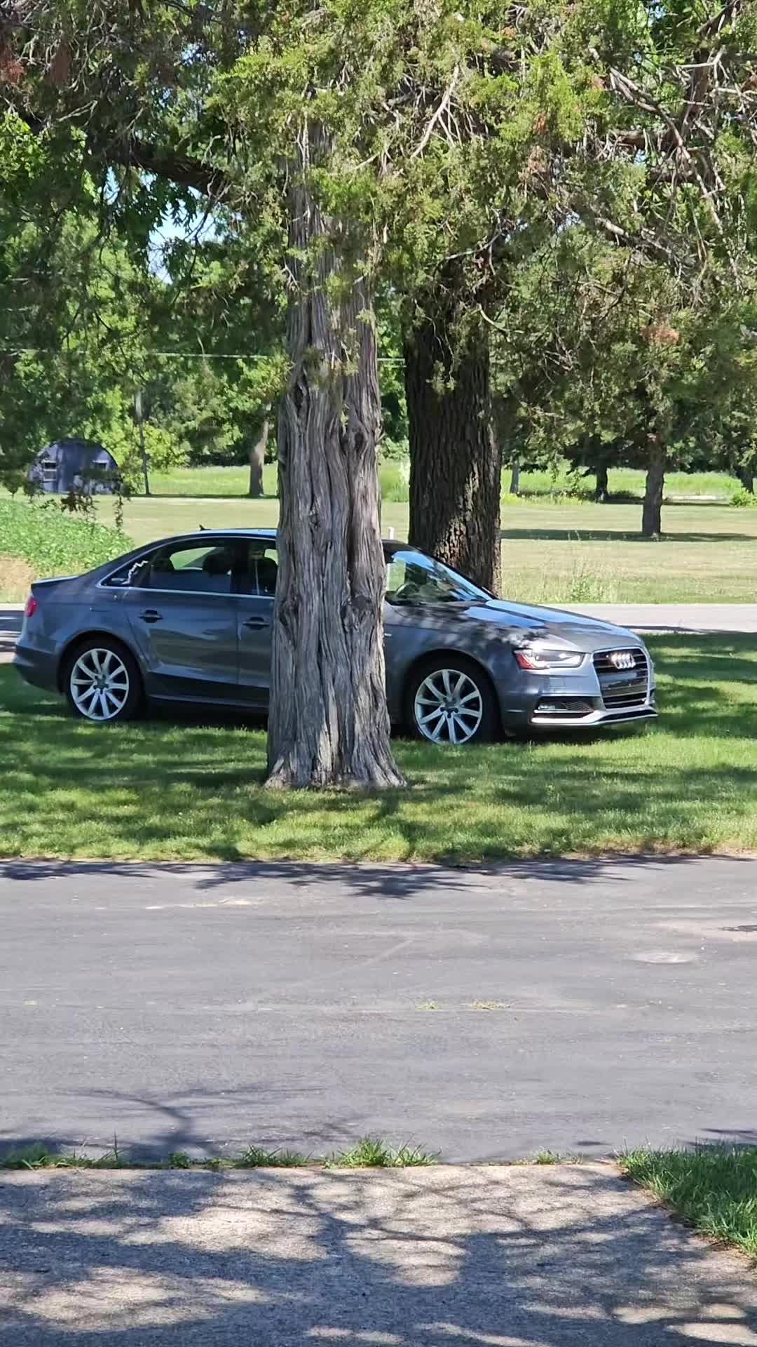 @musTURDstang