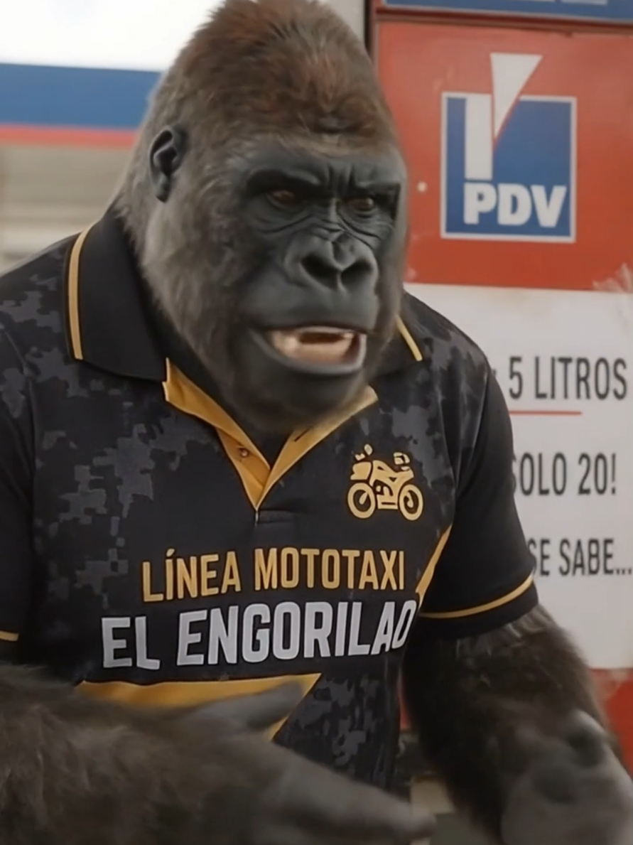 @El Chamo Engorilao