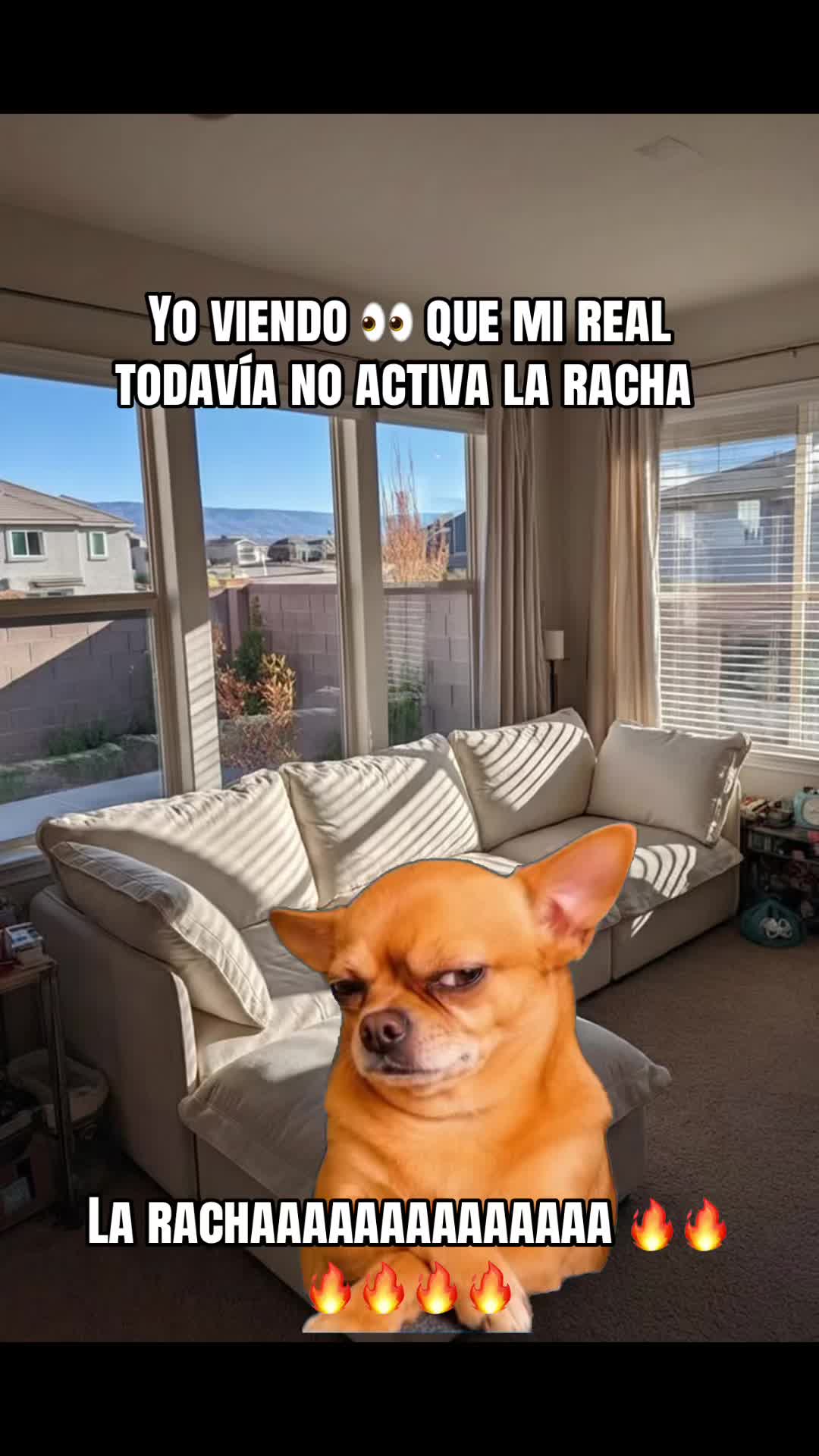 @🧃🍀🫀💋🦅LaTerrible69🌶️🇻🇪