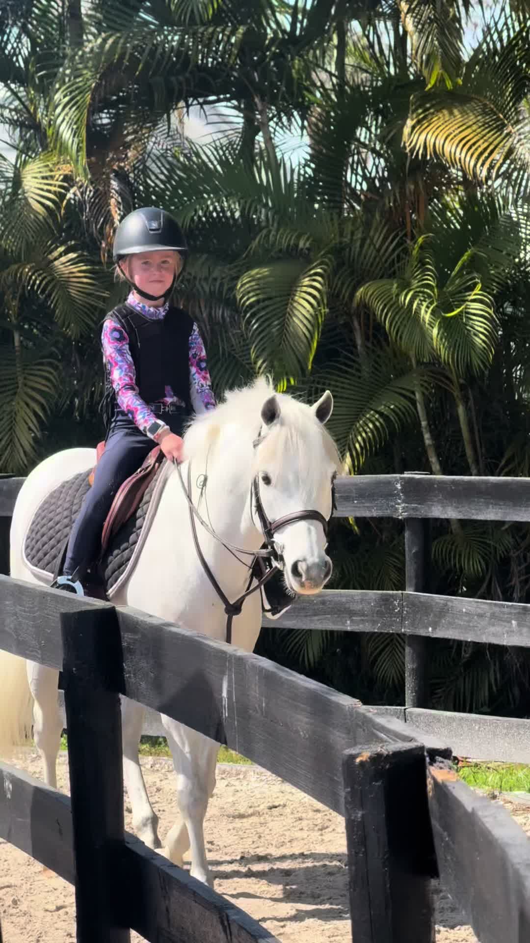 @ckponies