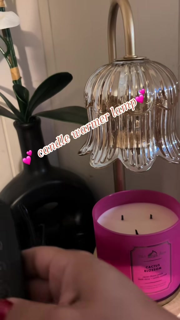 @Laura soto