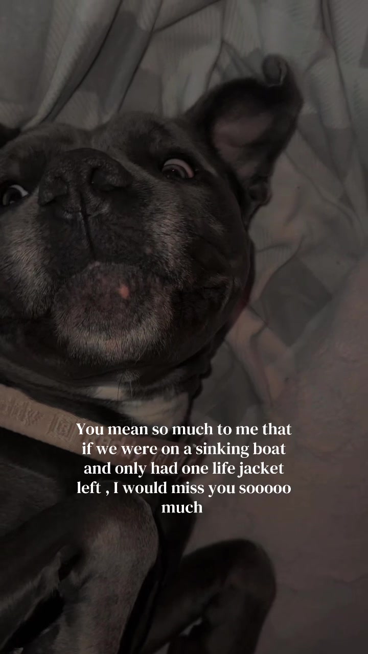 @JAXSSKO🤍