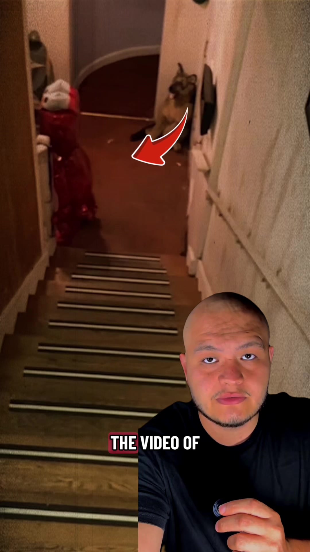 @creepy_story
