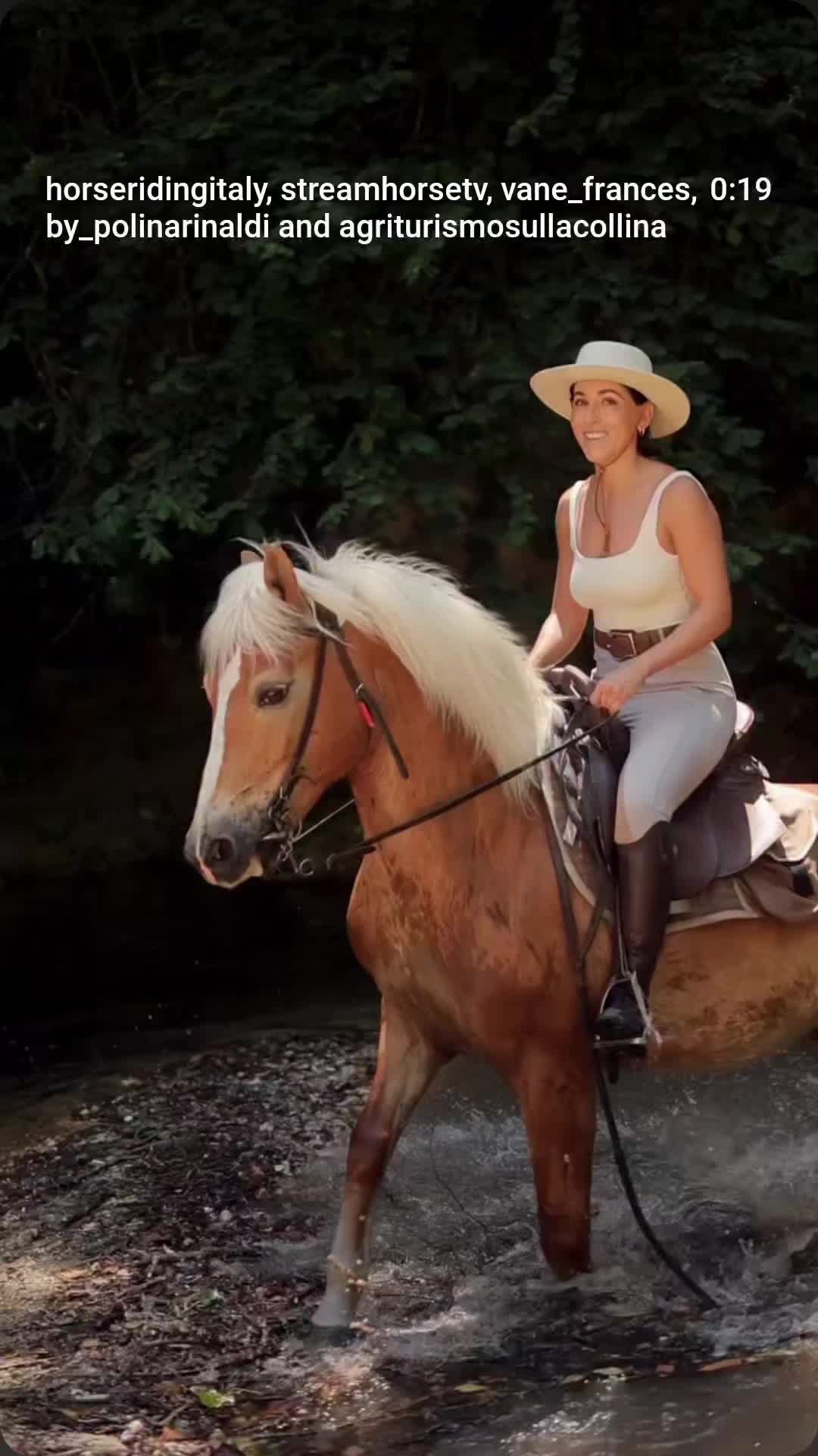 @streamhorse