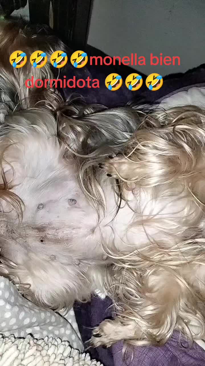 @Silvanna Lafontaynne