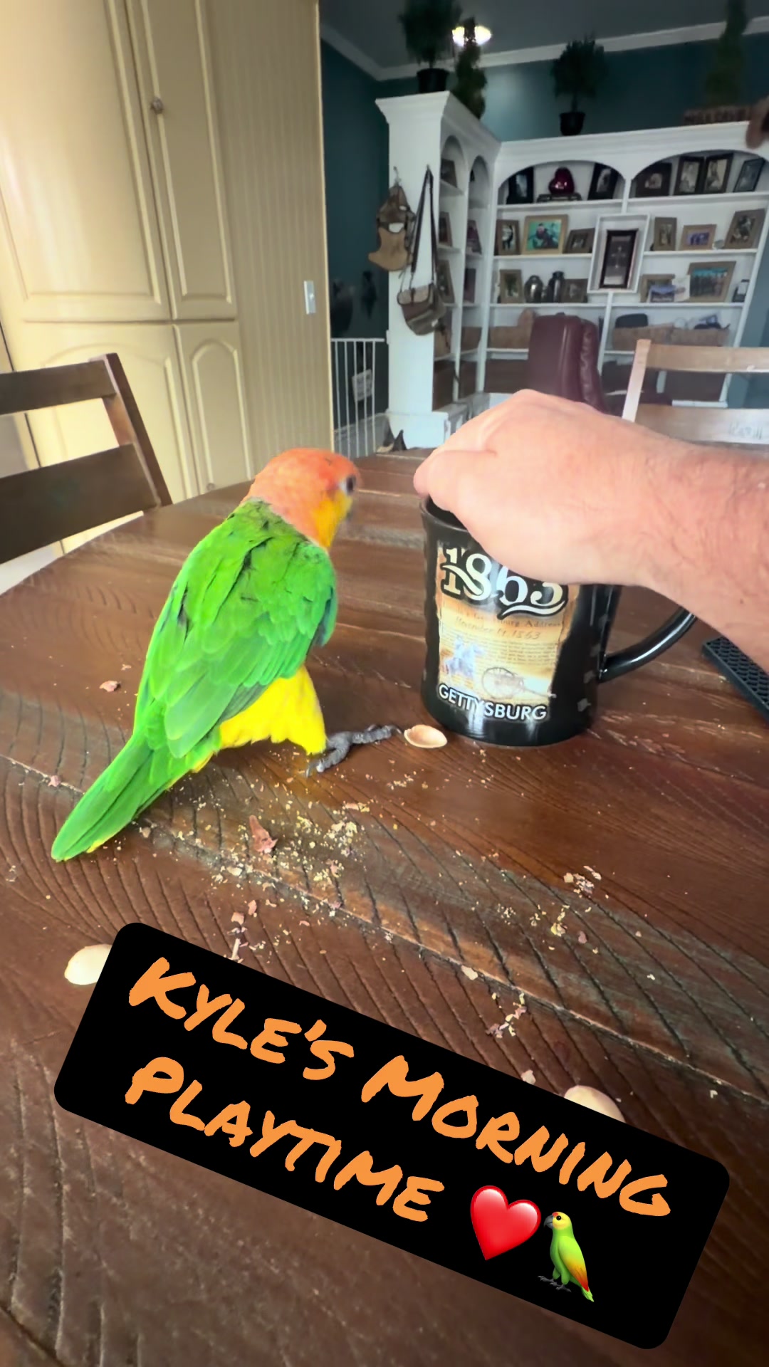 @Kyle The Caique