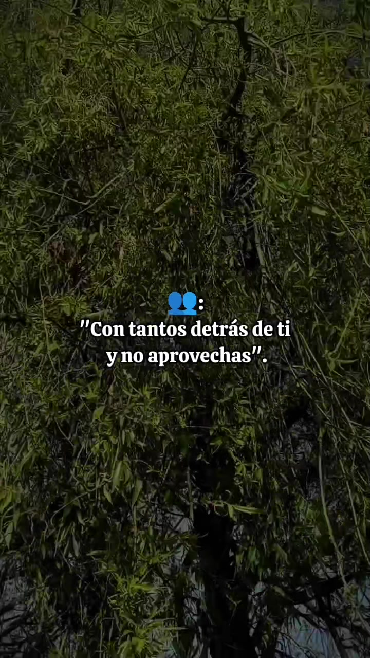 @Vanesita Yhasmin