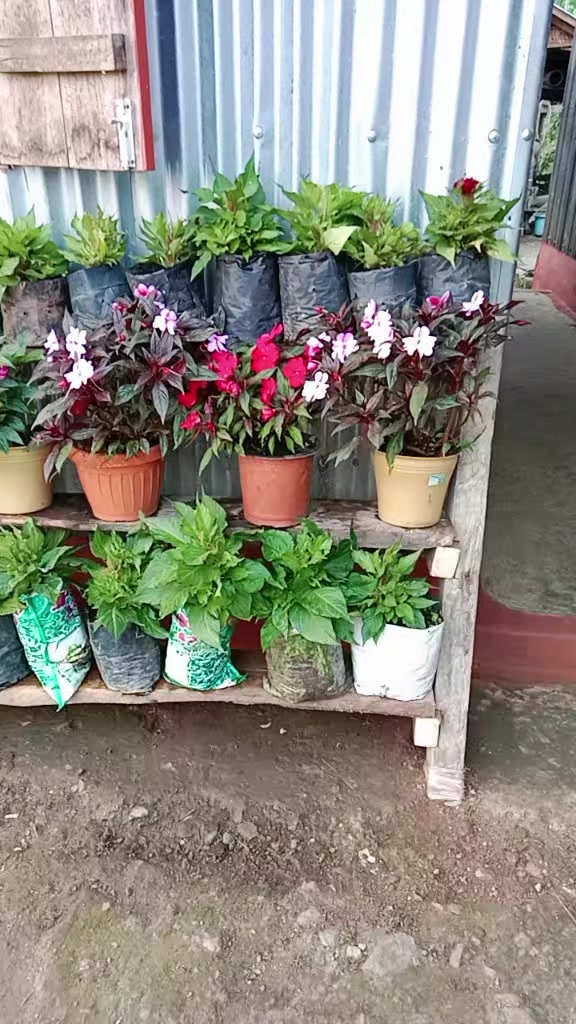 @भारद्वाज