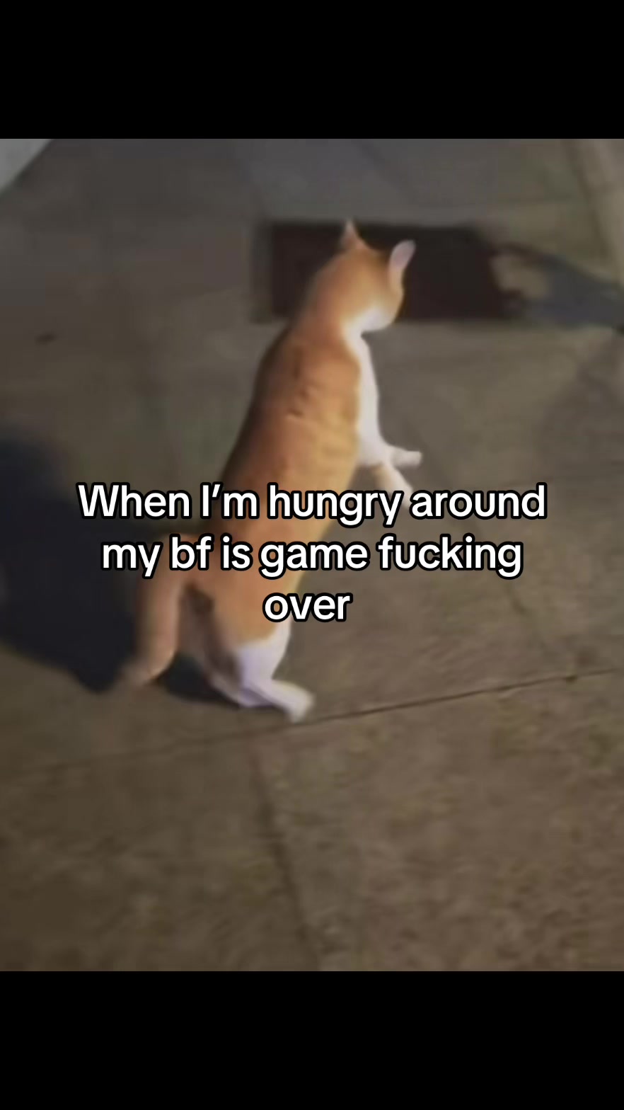 @LavanderCat
