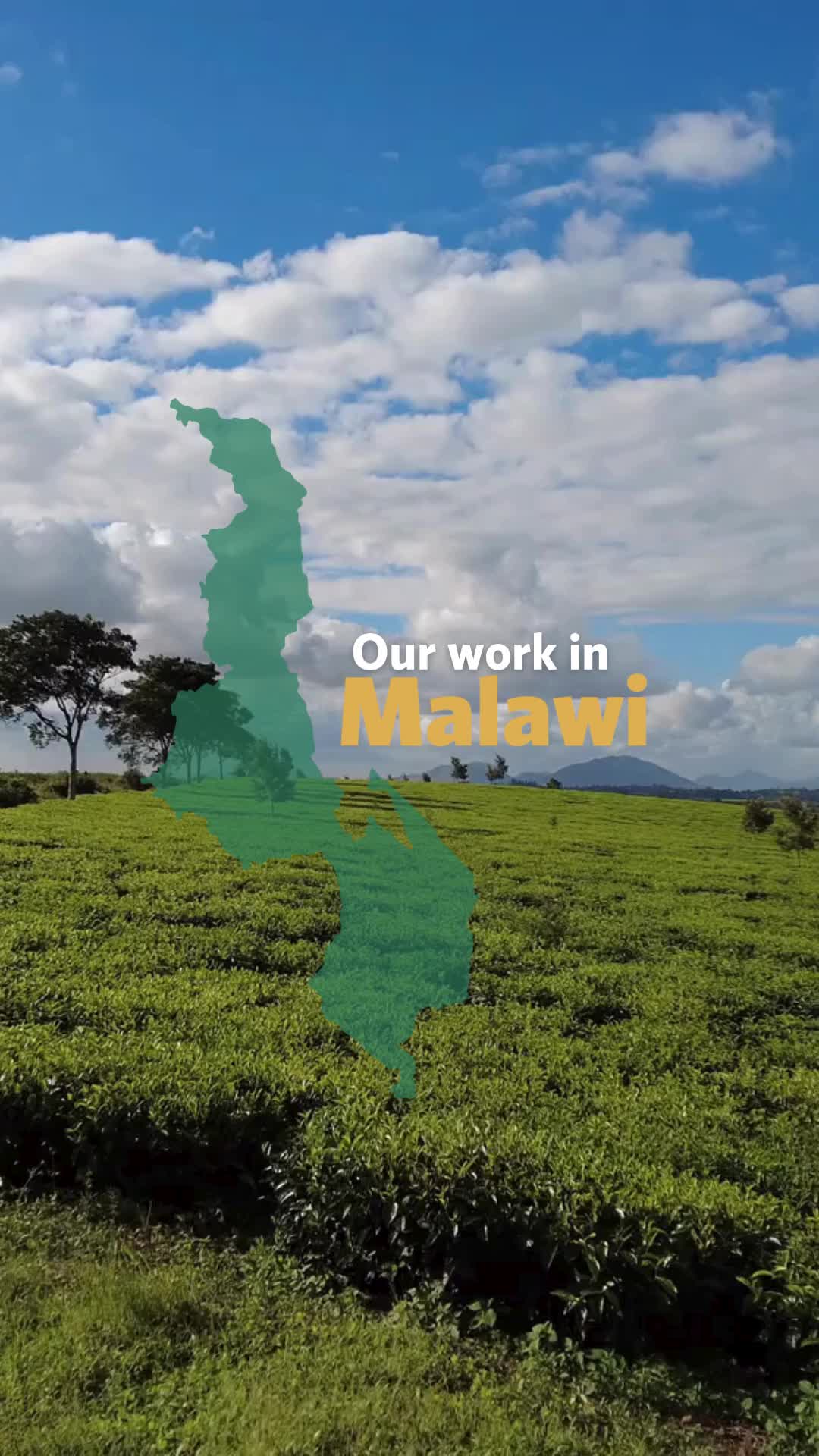 @OneAcreFund.org