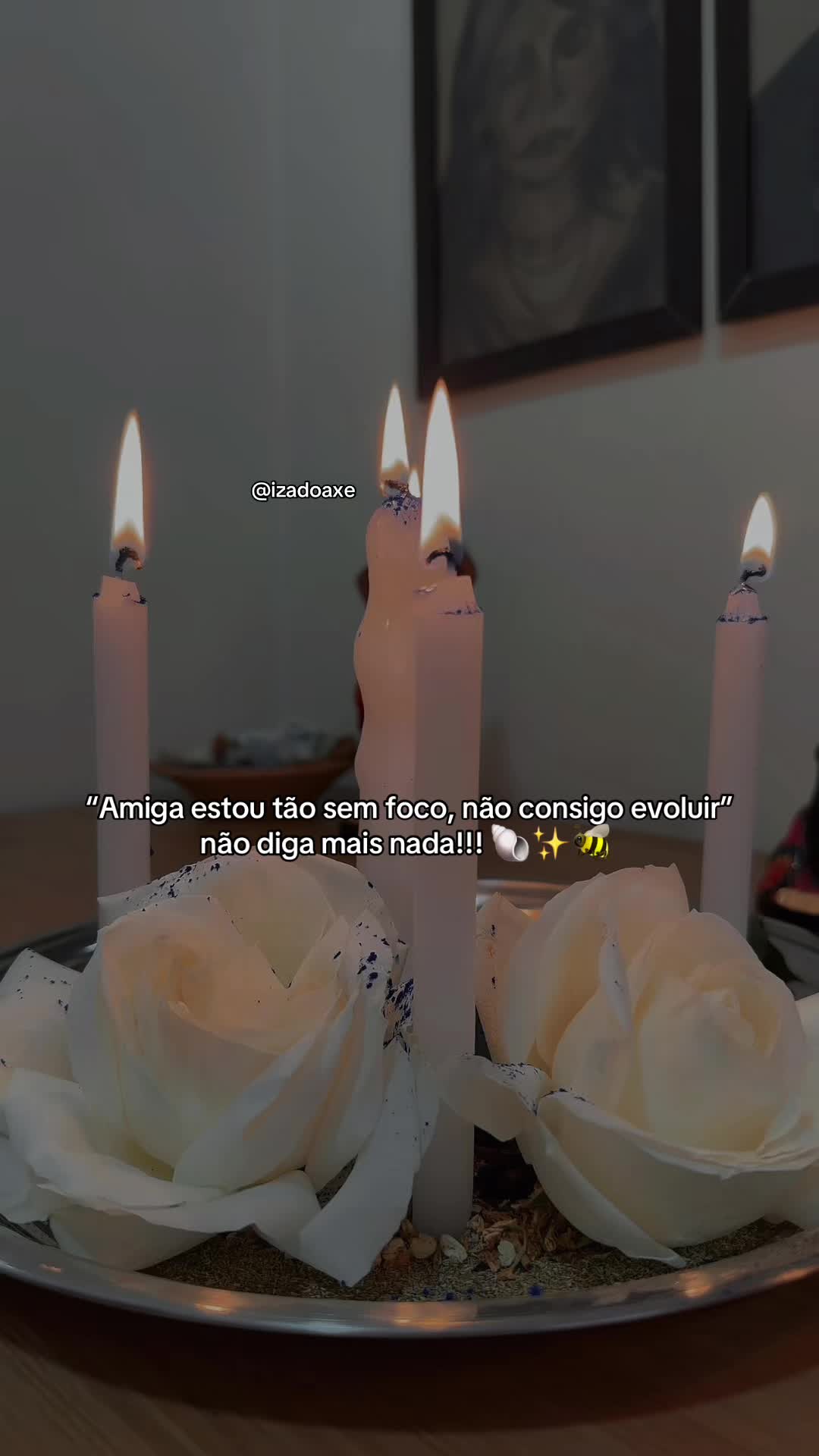 @Iza Freitas ๐ช๏ธ๐น