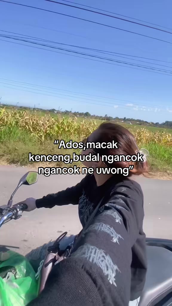 @Cica🐈