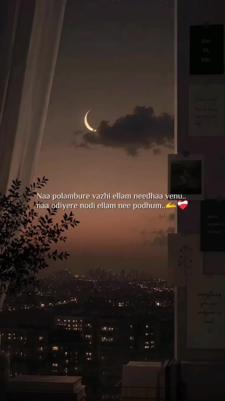 @Neela 1206🕊️❤️🕊️moon