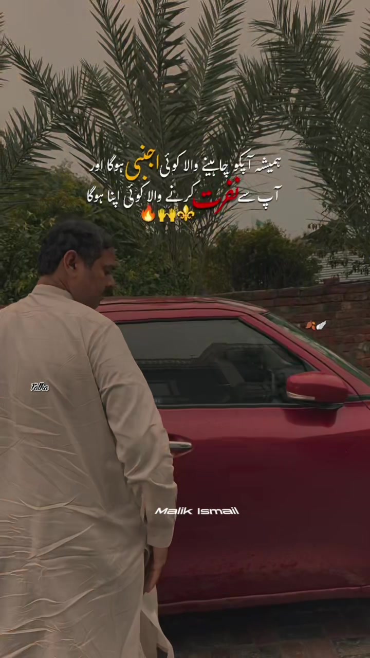 @Malik saif Ismail 3696