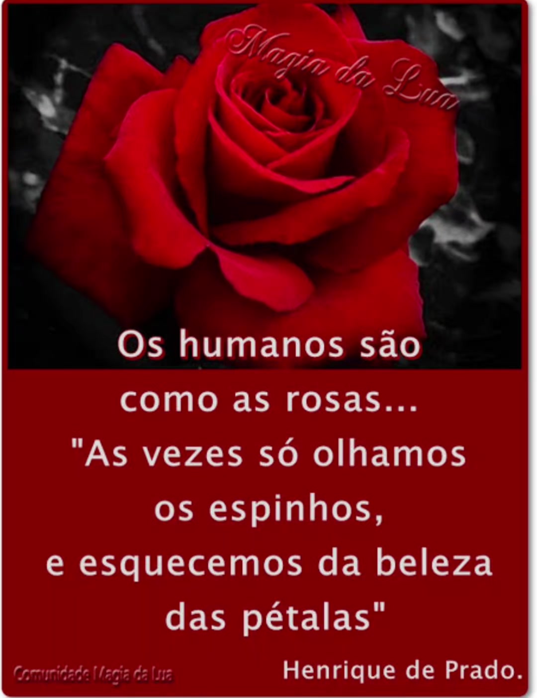 @Marcinha7313🎶🤘🎸