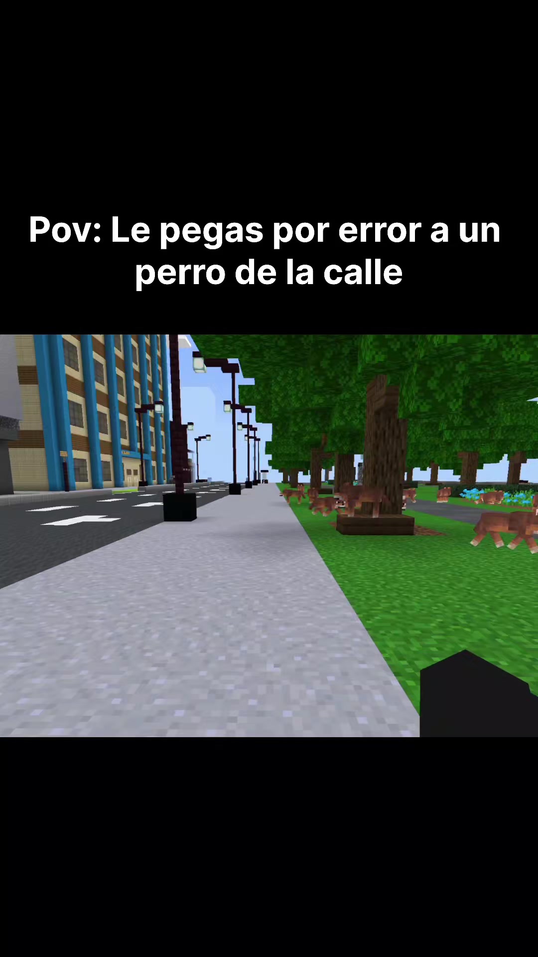 @Eliux_0-0