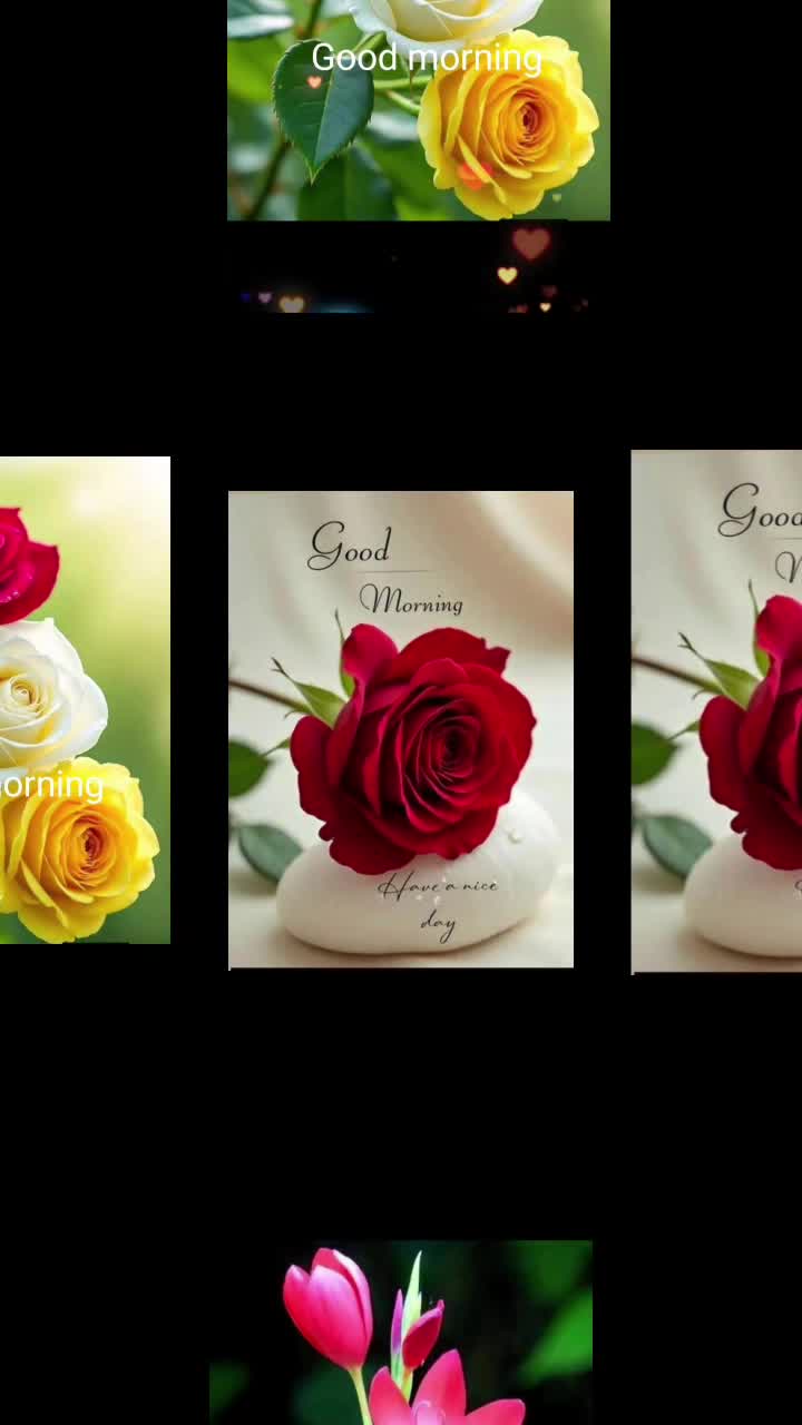 @Sai Meena