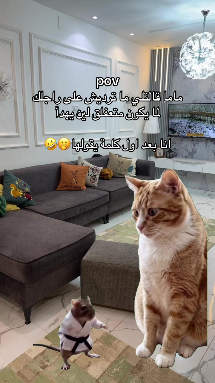 @Amwaj Bin Ashour