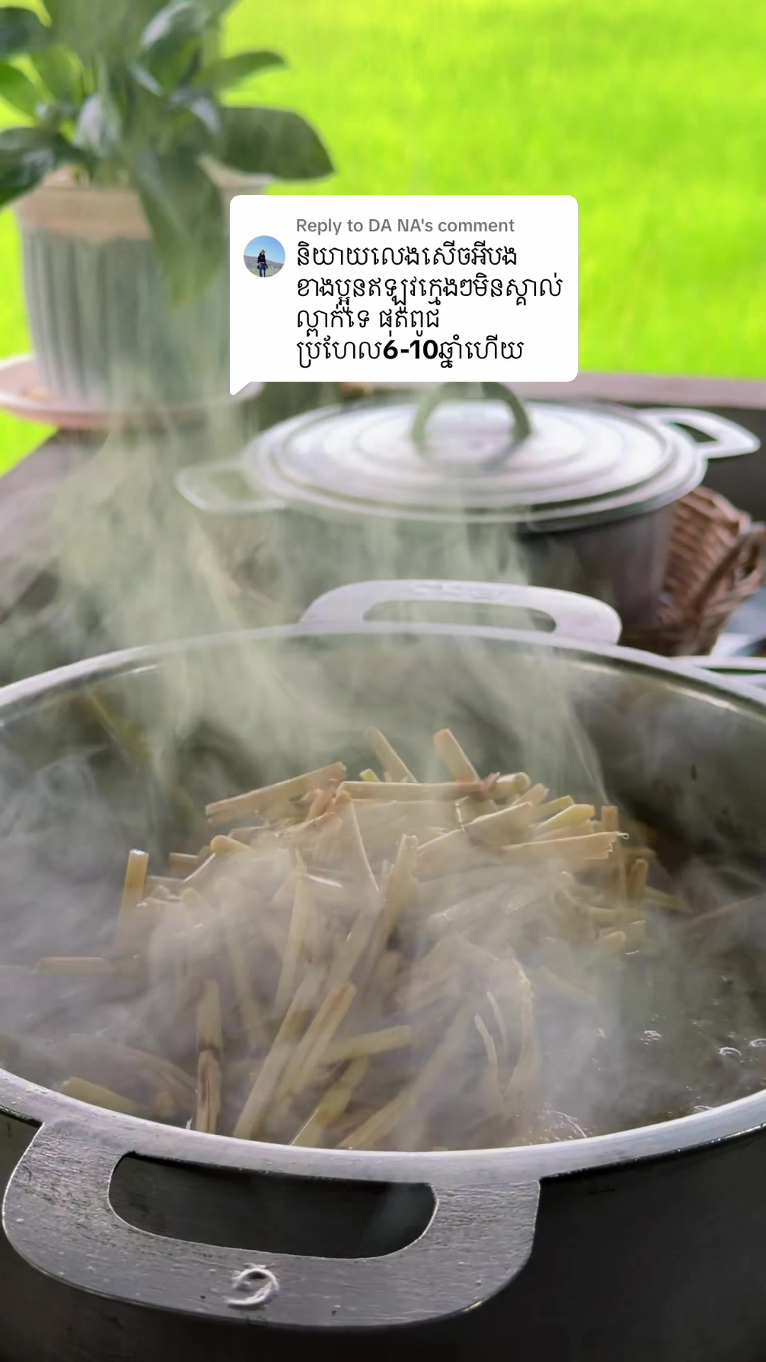 @កូនចាបមាស