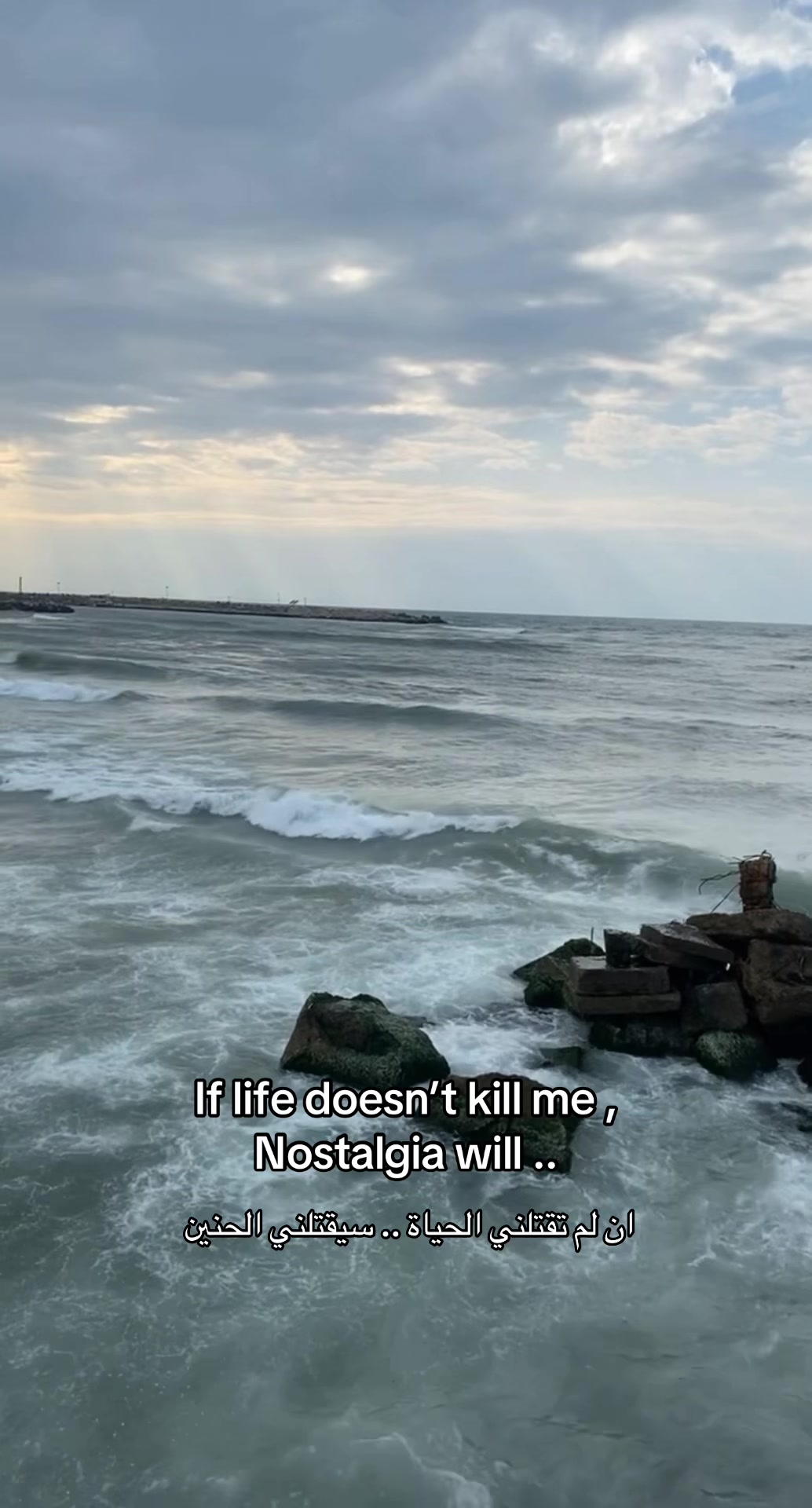 @Tariq Matar