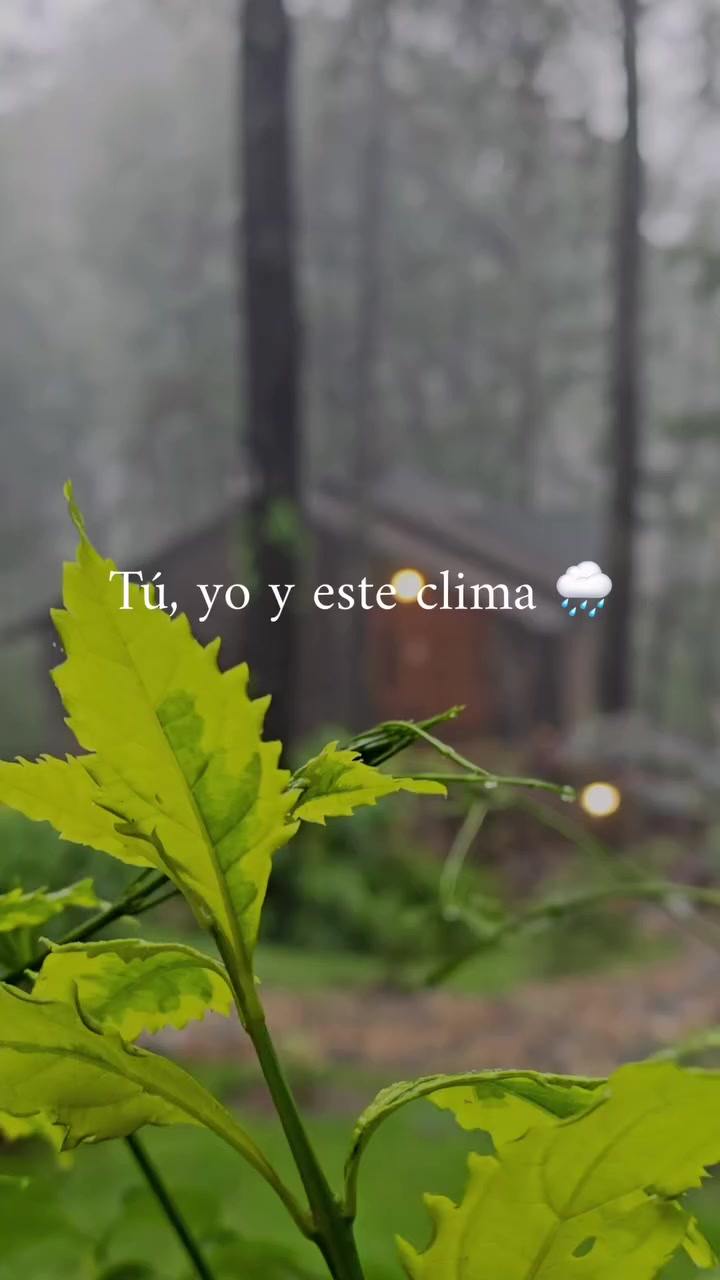 @lilyluna ᥫᩣ✨🌙