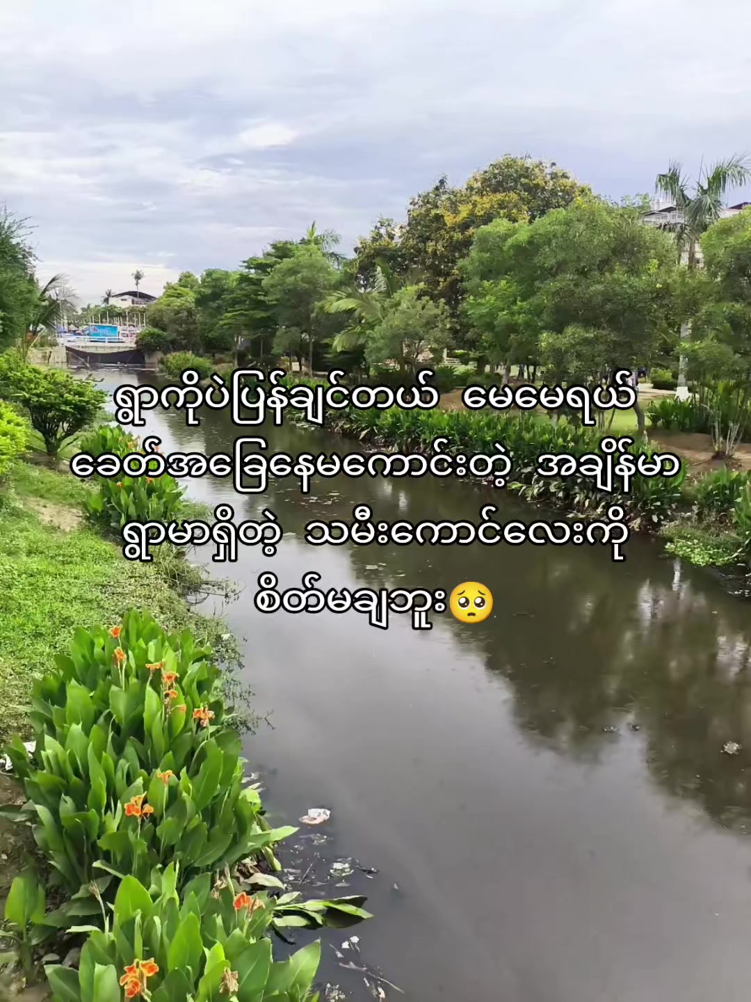 @Lin Latt Kyal Sin