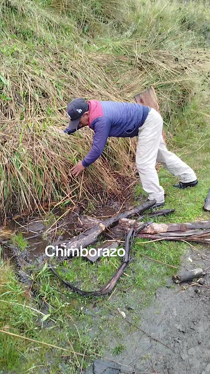 @Chimborazo_online