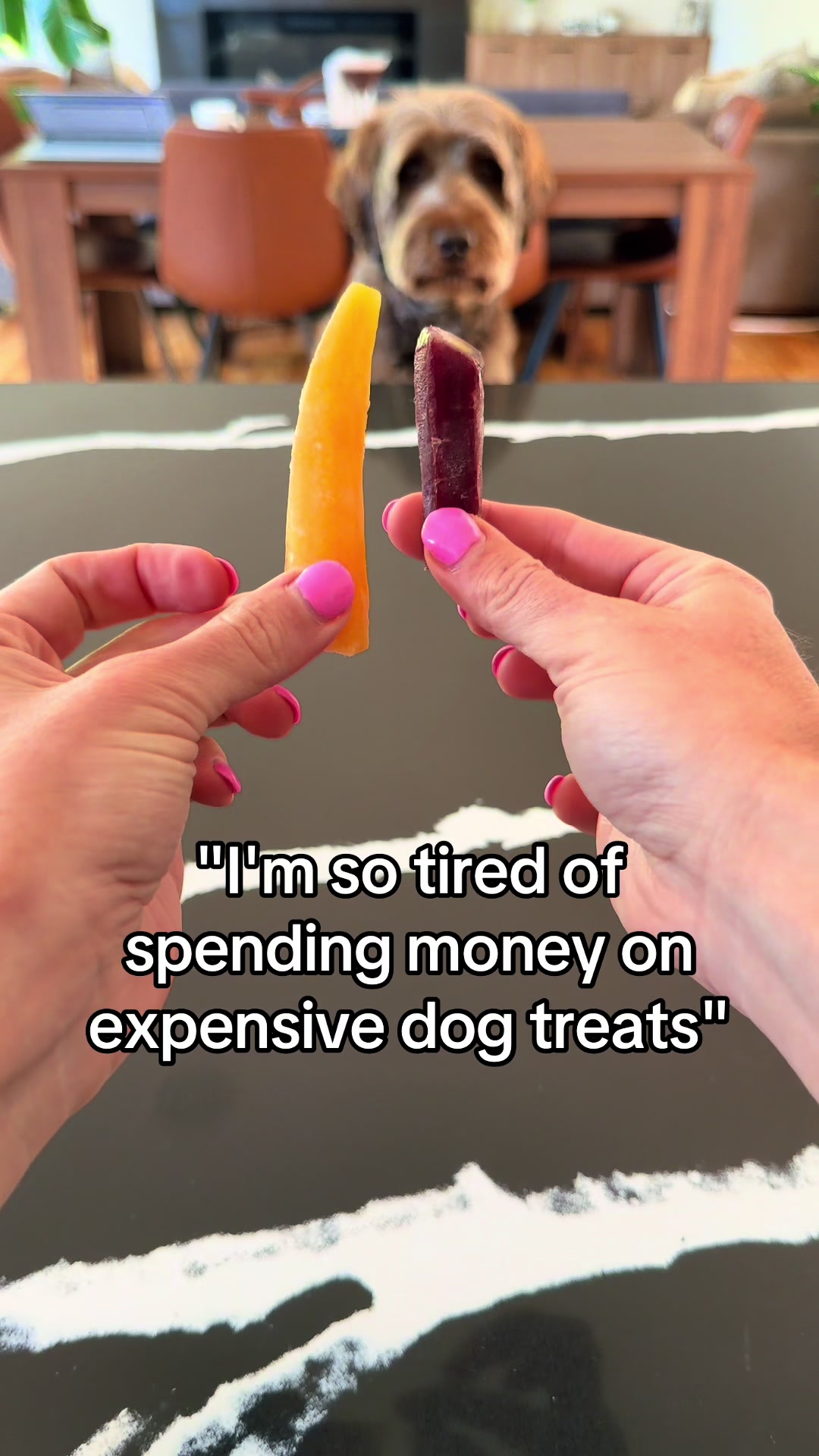 @Dogs Made Simple