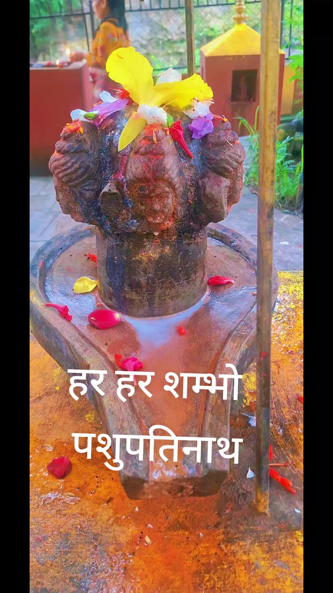 @तपो भुमी नेपाल