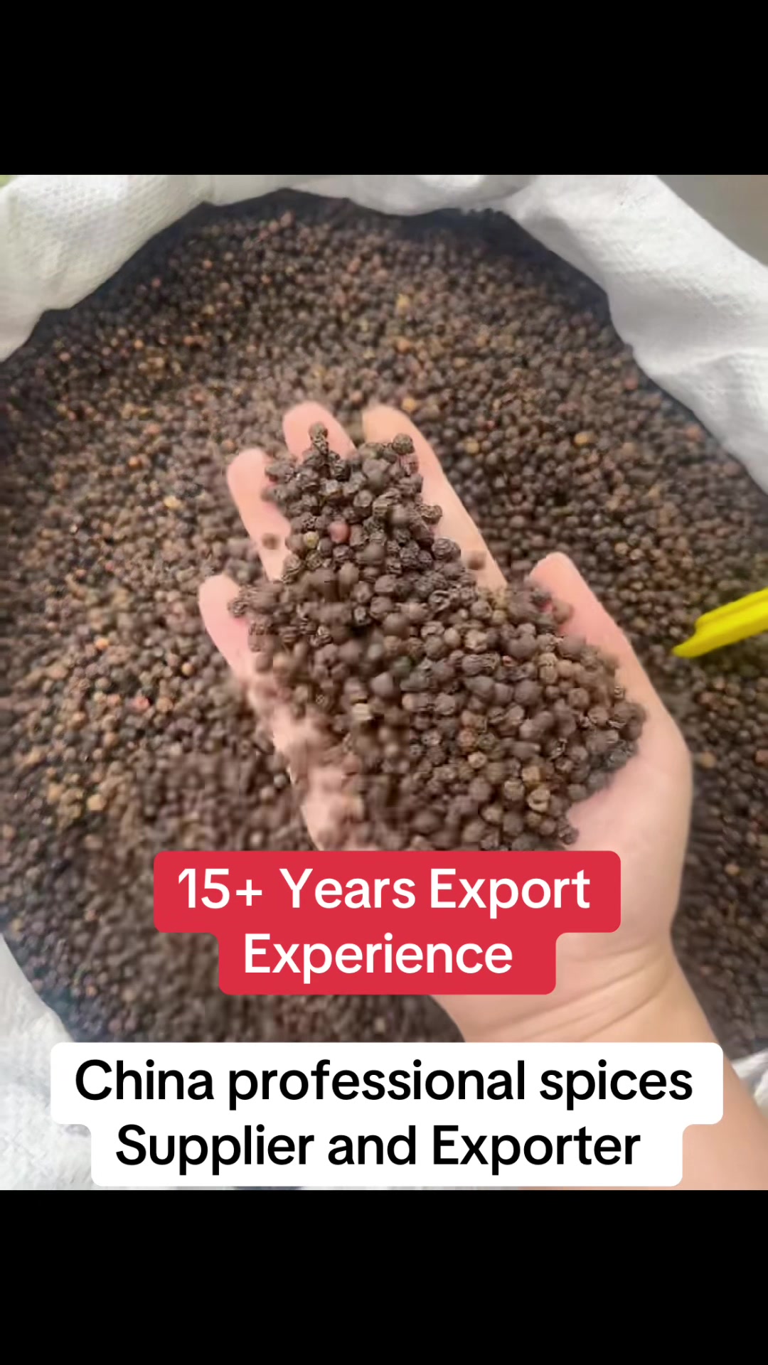 @Bxhspices(ChinaSpicesSupplier)