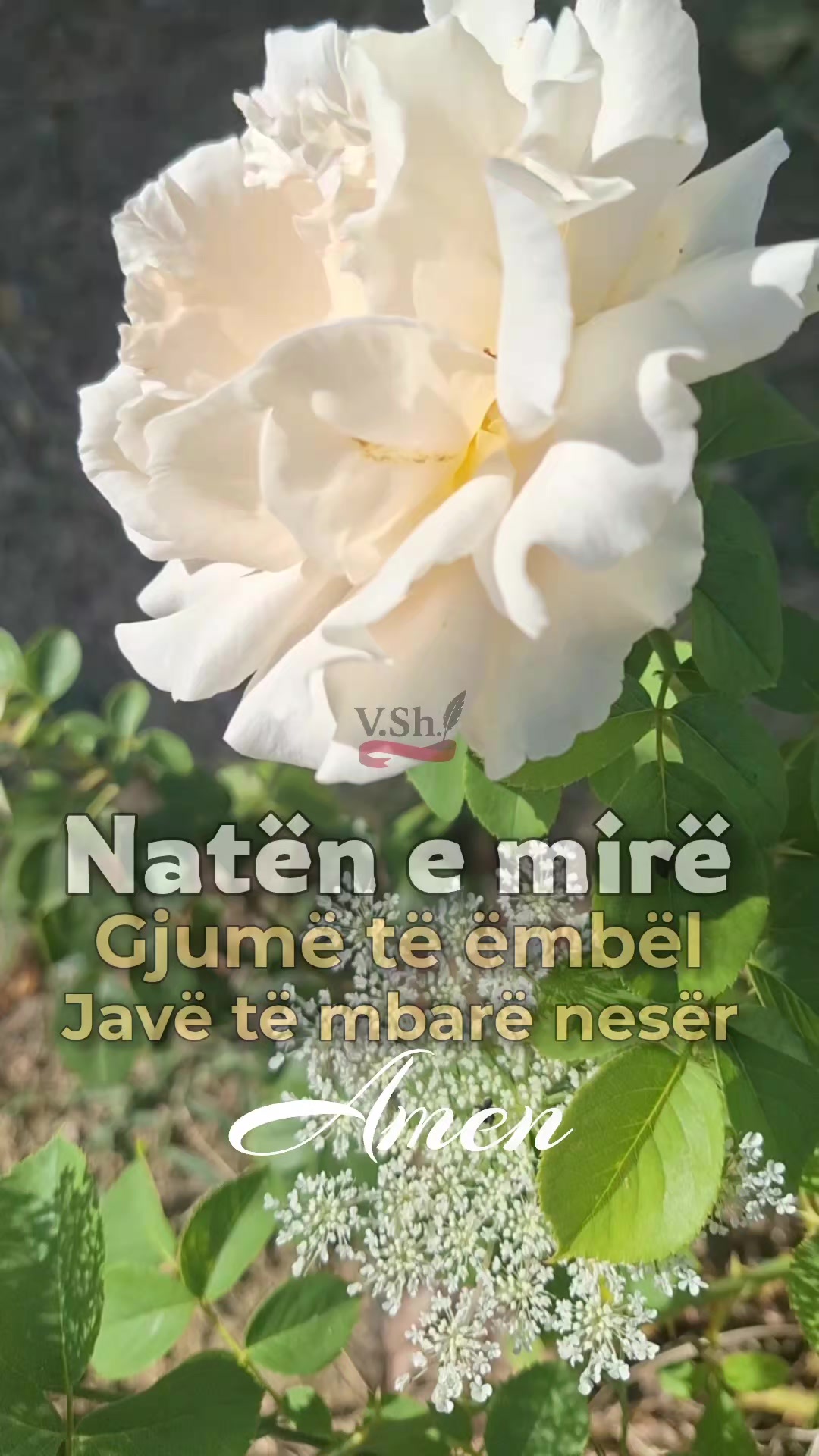 @Vargjet e shpirtit 💎