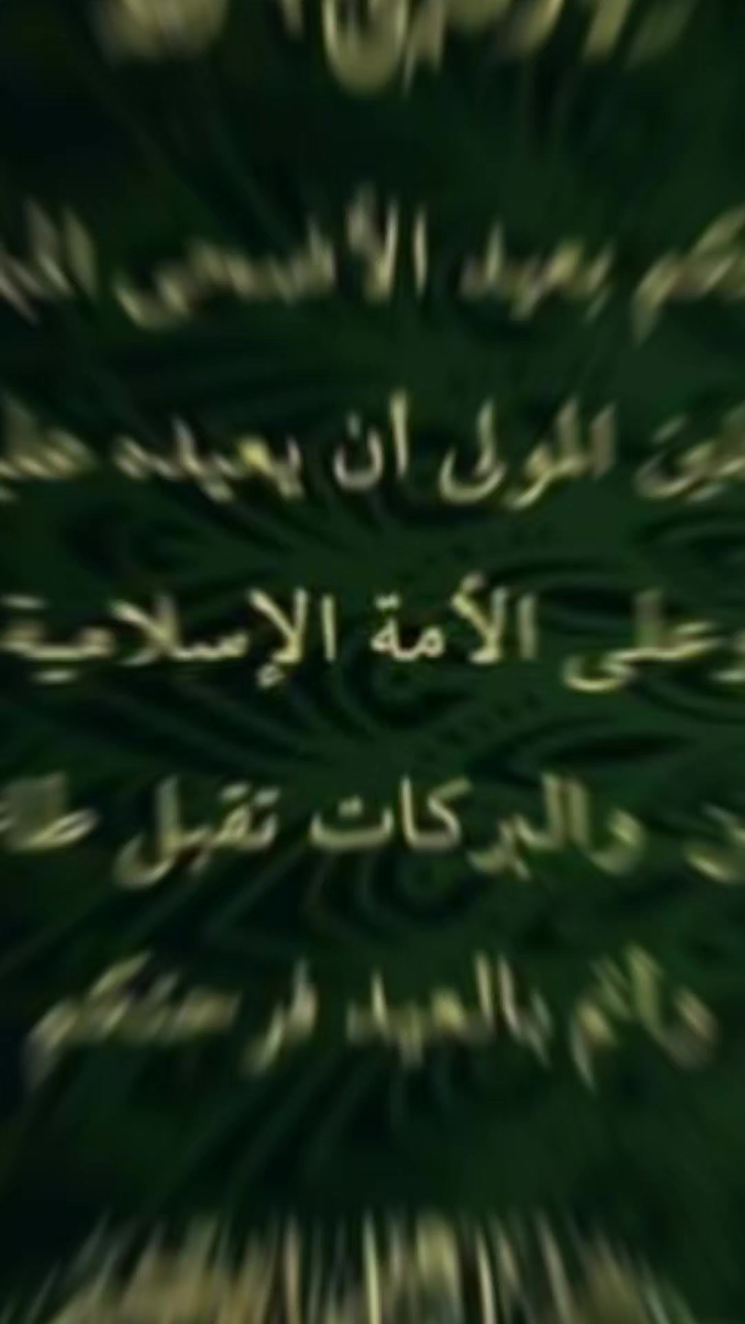 @lamia bhassine