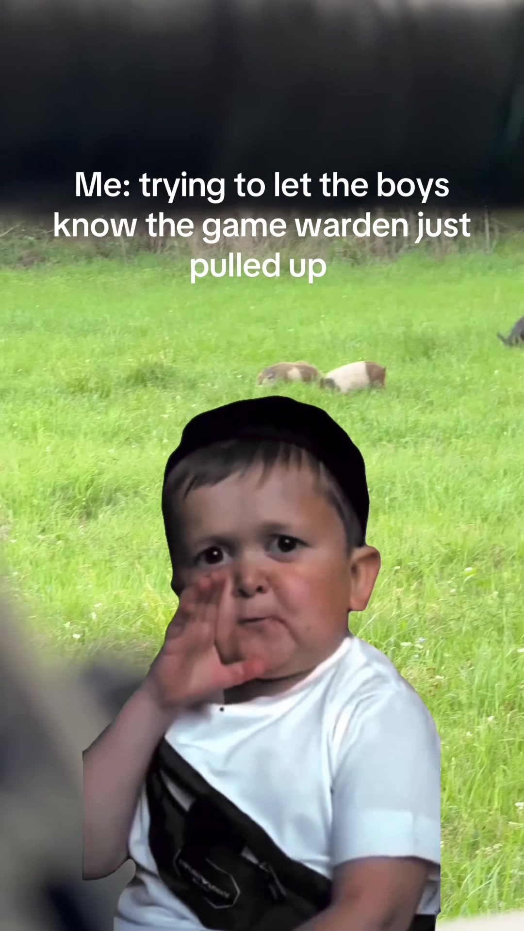 @TPHH