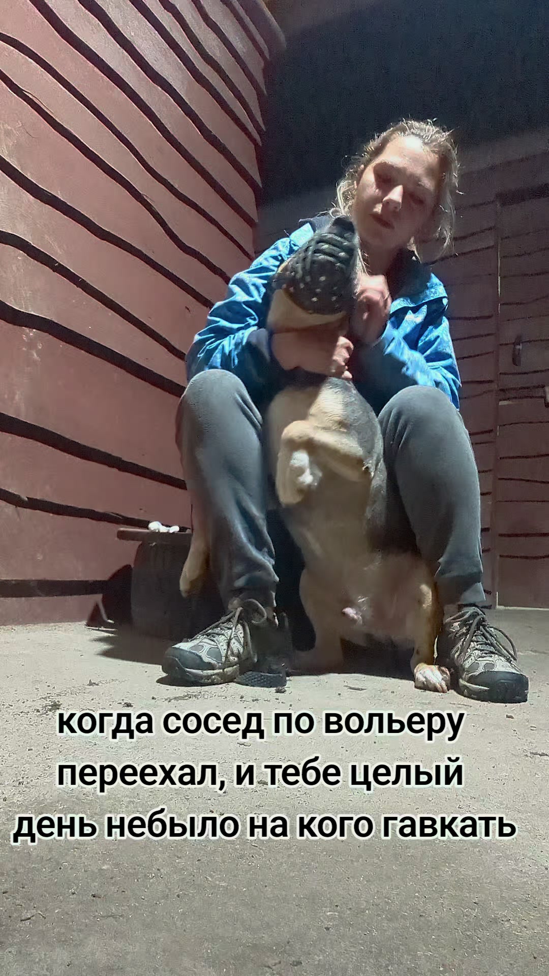 @вівчарки "Wolf'sfelzem"