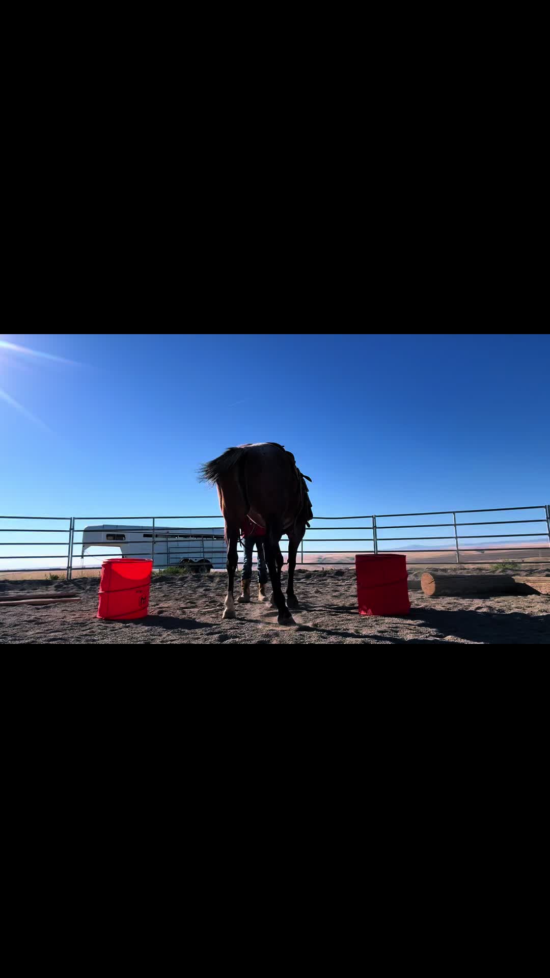 @Cowgirl Tuff Colt Training ❤️
