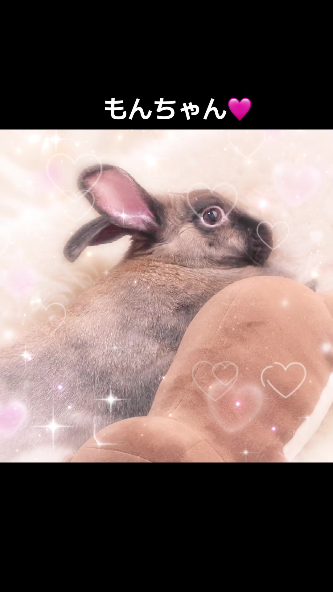 @🐖🧅ちぃ（マロン）🌰🐰🍍