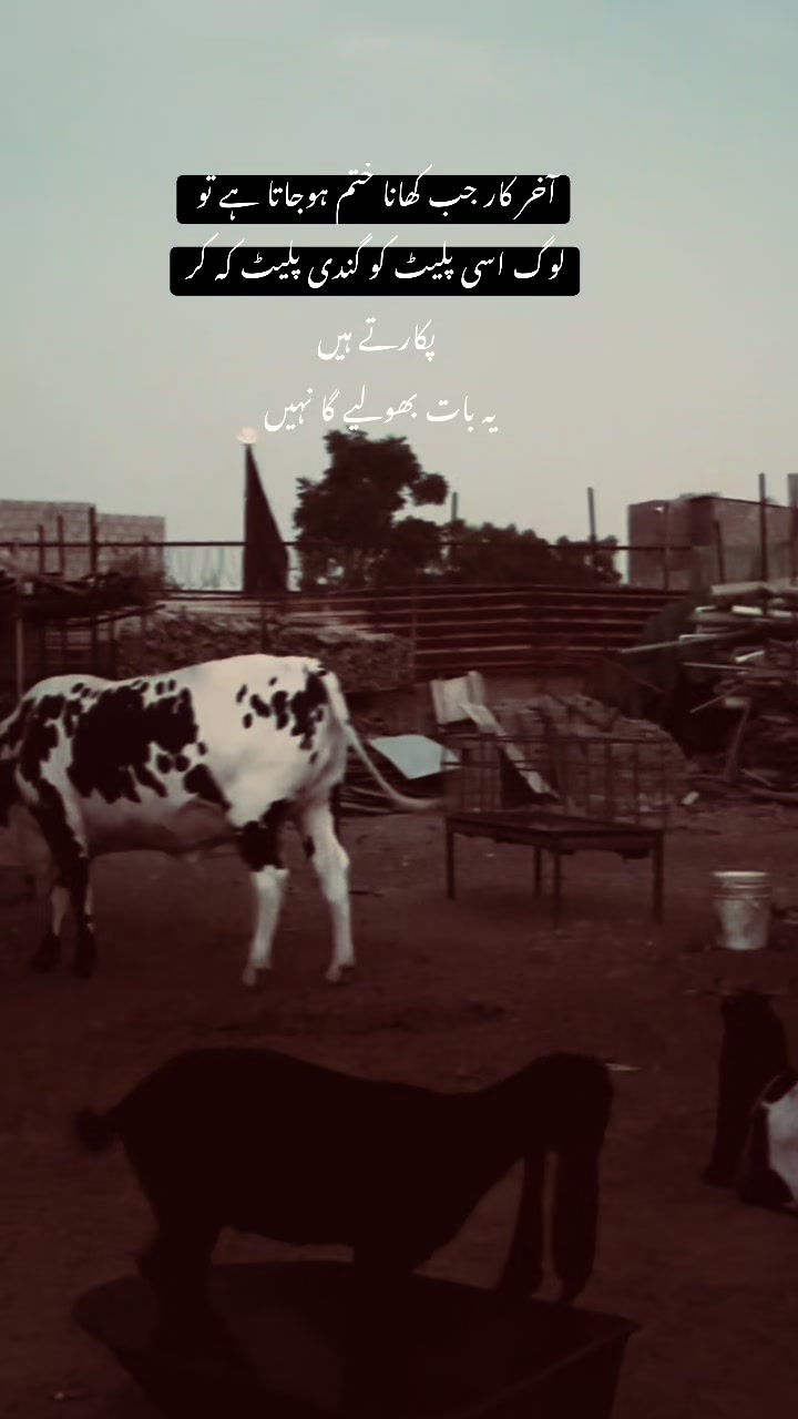 @نامکمل-🤯