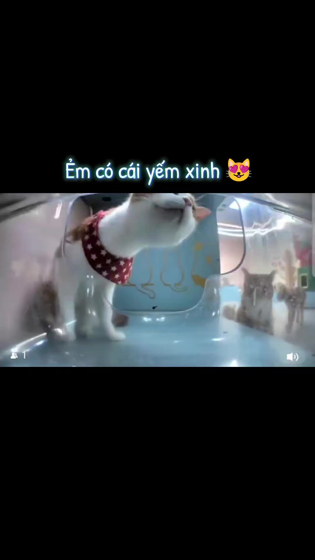 @Meo Meo 😋
