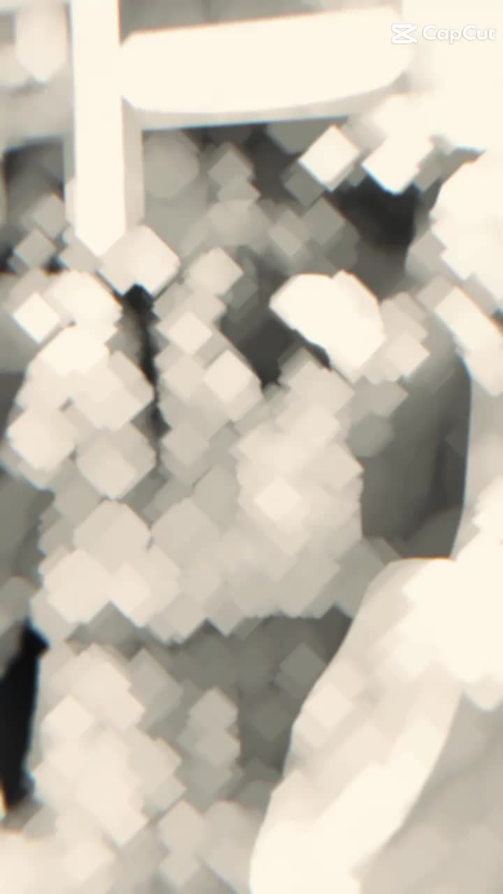 @ðµð¶ð·ðððœð¶ð¶ðâ¯ðð¶ððð€.
