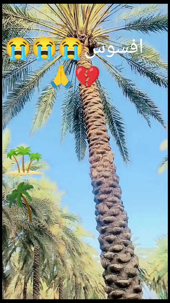 @《♡》●ZAHIDALI JAAN《♤♤》■