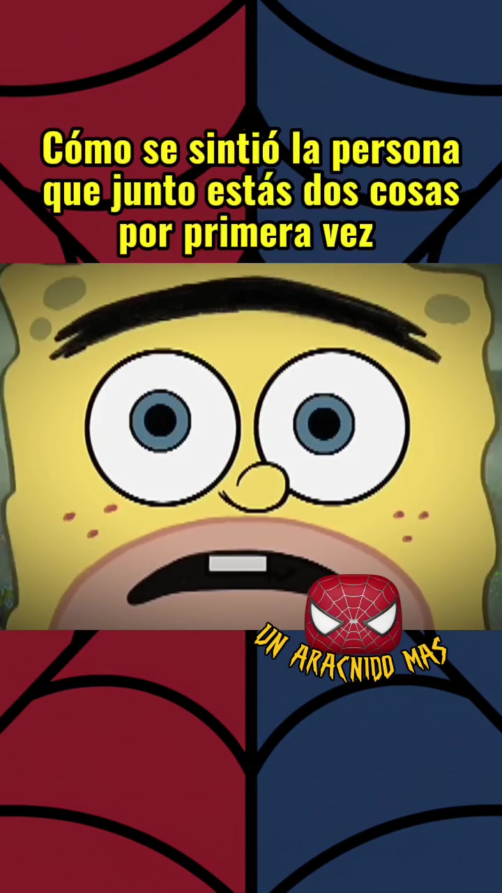 @Un Arácnido Más🕷️