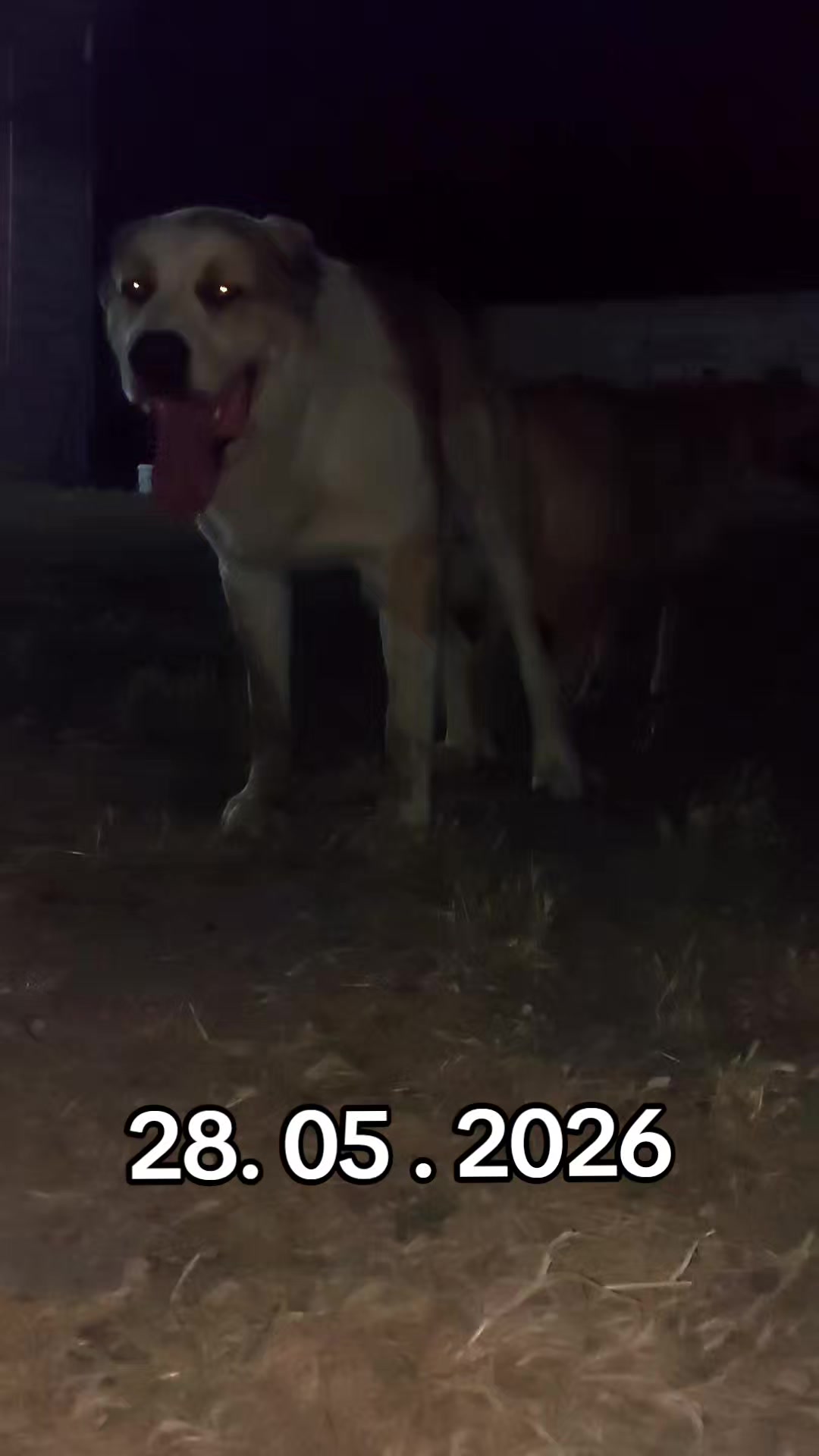 @Elşad__007