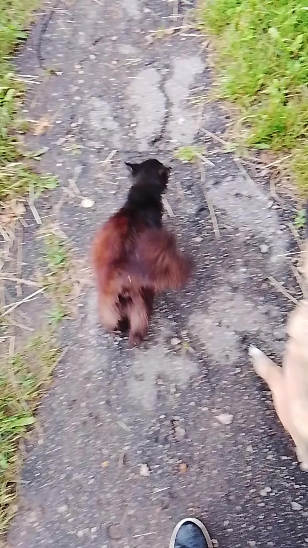@(づ。◕‿‿◕。)づ