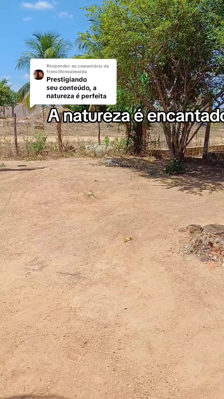 @Amante da natureza