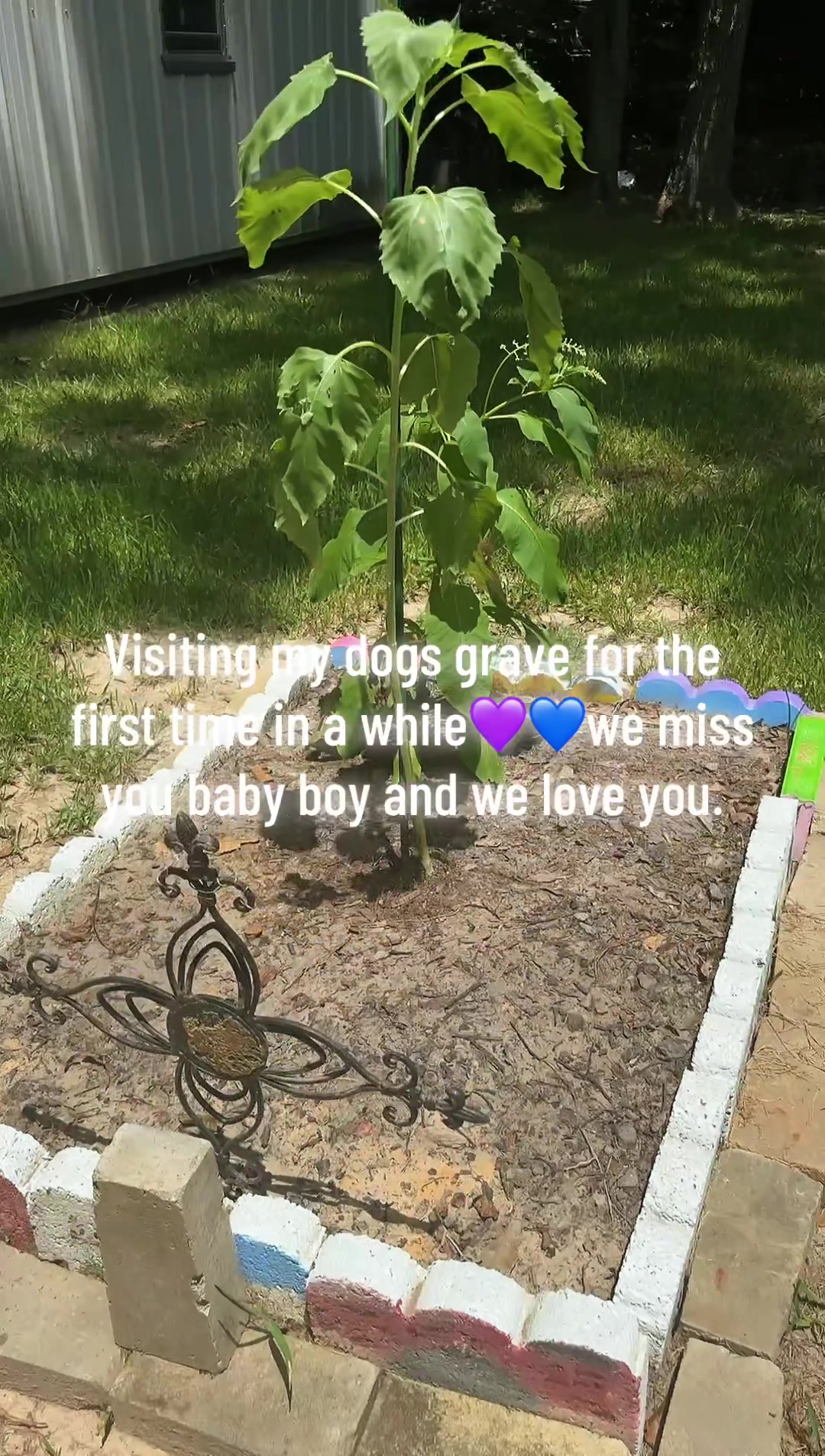 @Tori